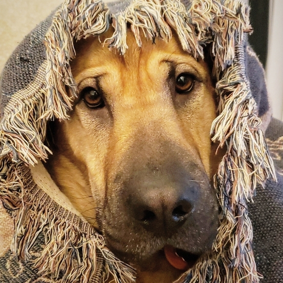 Welcome to my closet! - Picture 11 of 16